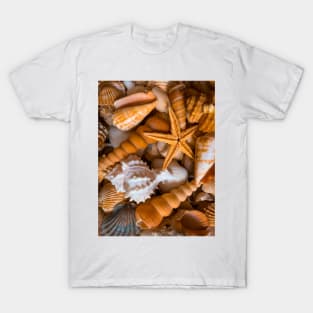 Seashell Starfish Beach Surf Summer Vacation T-Shirt